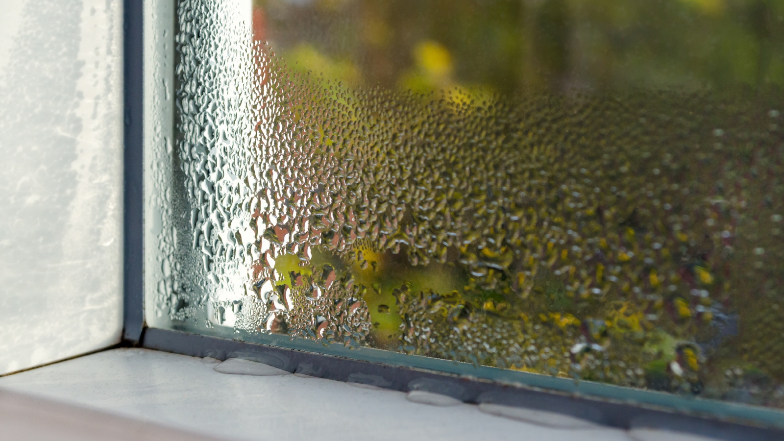 home window condensation high humidity
